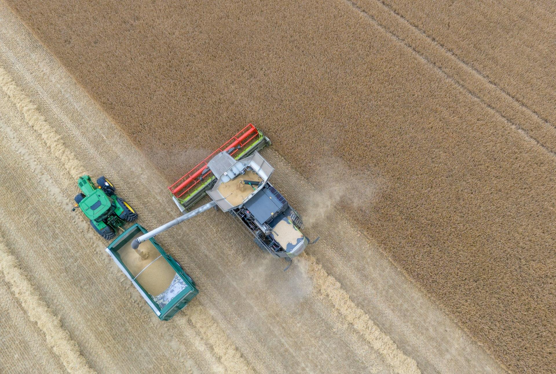 Combine unloading grain into a tractor-drawn cart at harvest