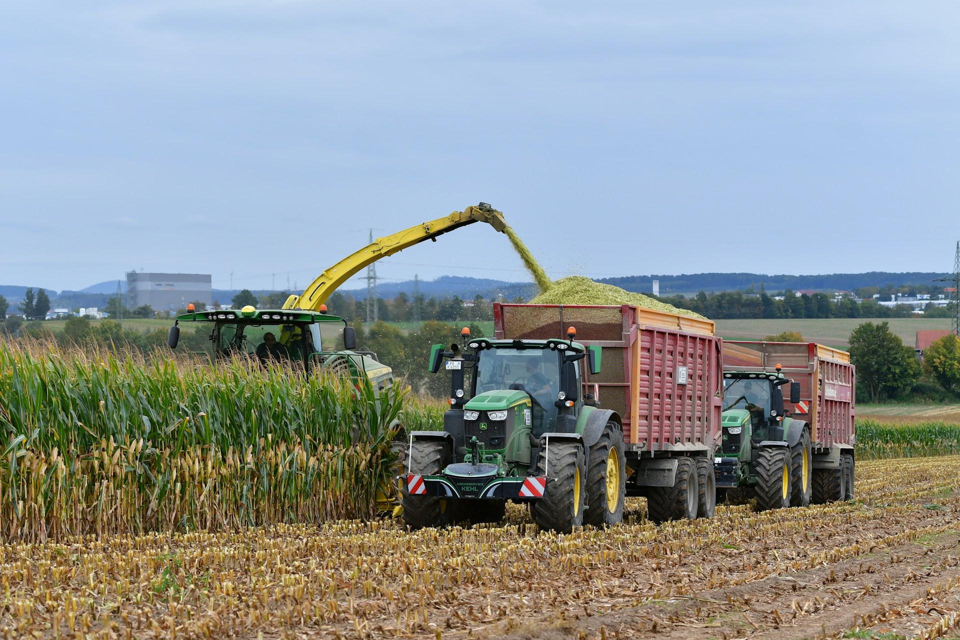John Deere tractor filling a silage trailer at corn harvest