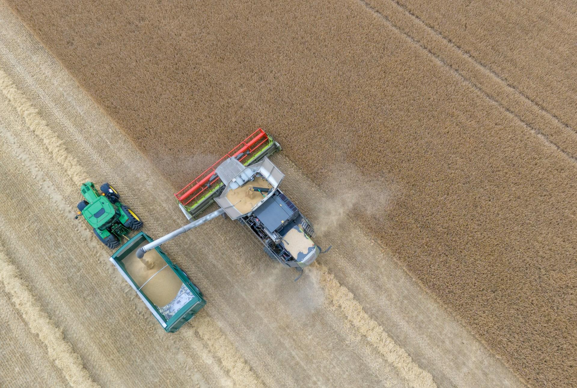 Combine auger filling a grain cart from above