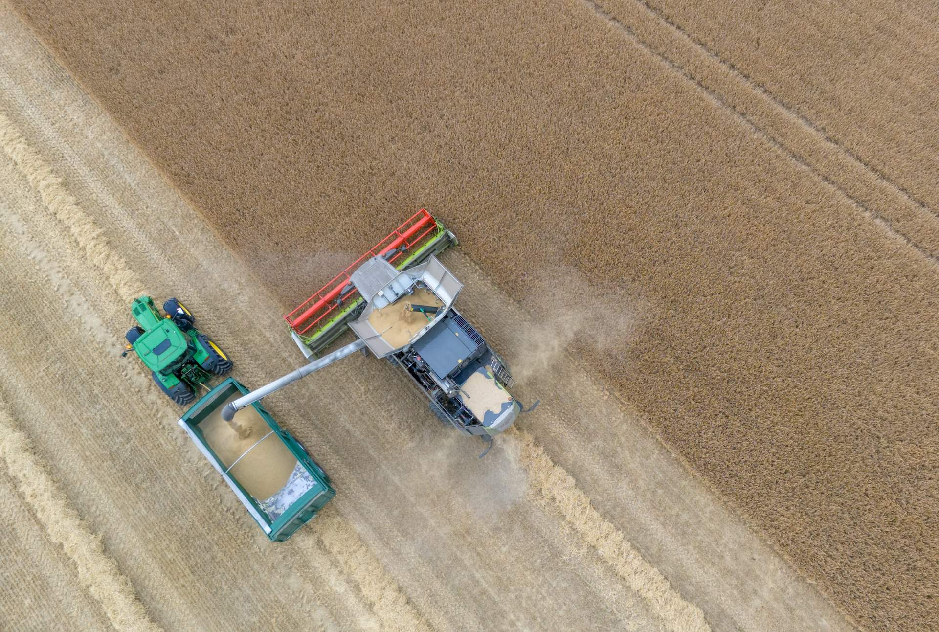 Combine unloading grain into a tractor-drawn cart at harvest
