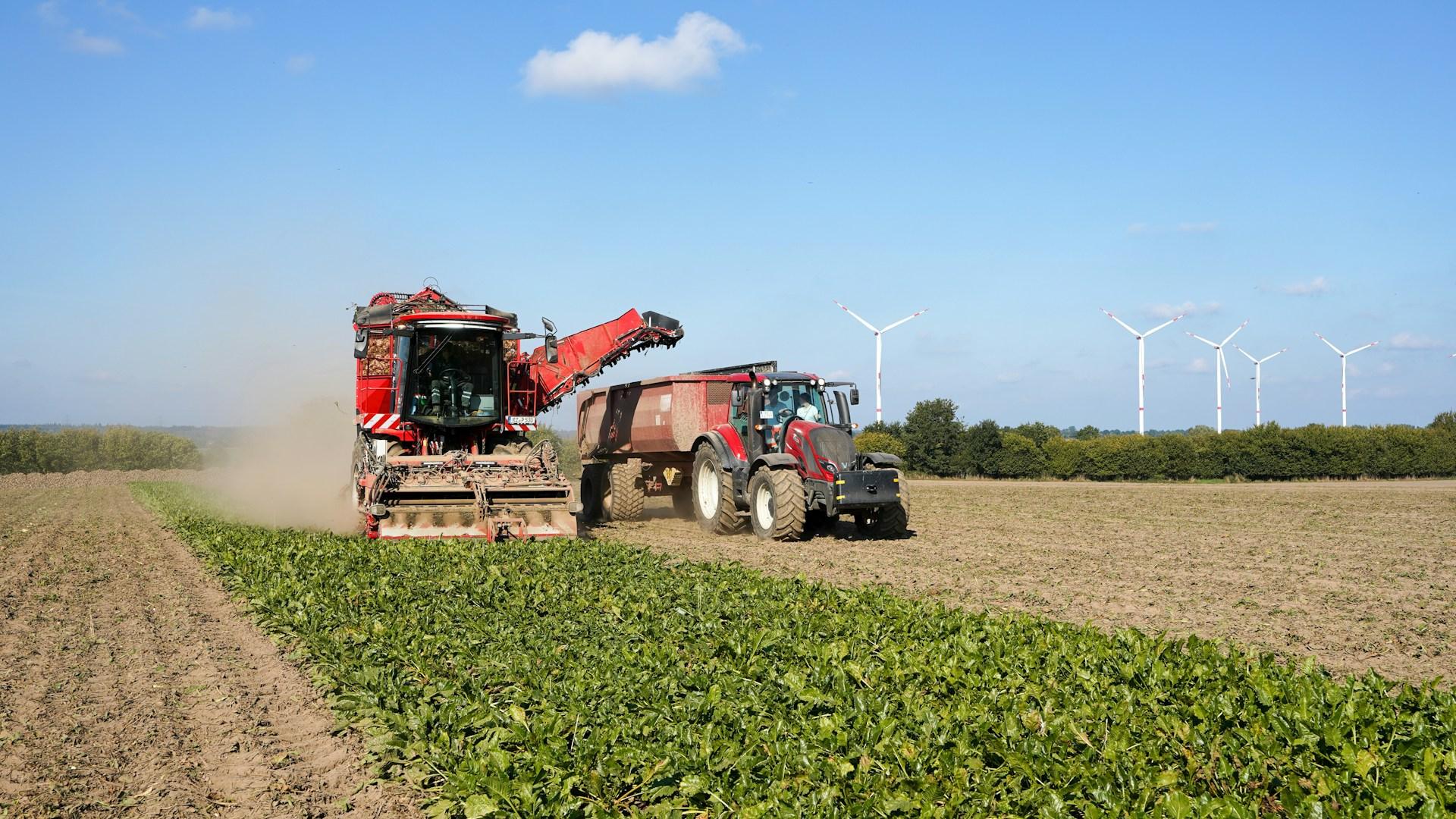 Red harvester and tractor working a crop field