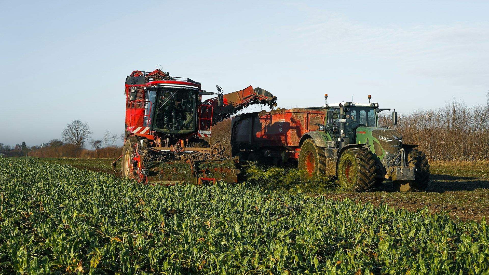 Tractor and harvester working a green crop field